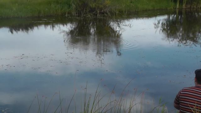 Ловля щуки в траве  Или рыбалка с некоторыми приключениями. Pike Fishing In The Grass.