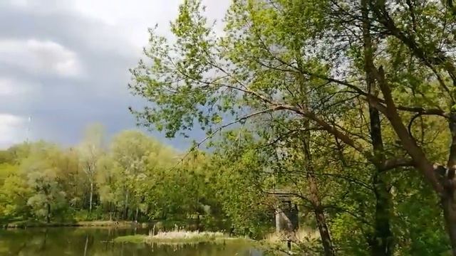 Во время карантина ребенок с инвалидностью проводит время возле реки, без людей, с поющими птицами! смотреть онлайн