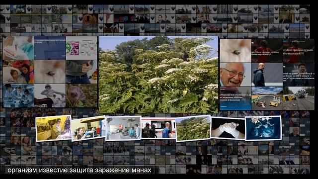 Наклеил и забыл новые бинты от ожогов не нужно будет снимать смотреть онлайн