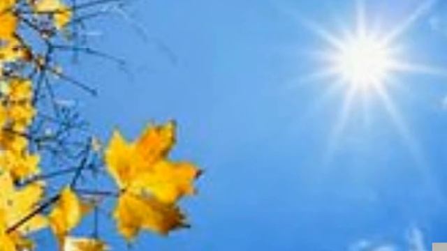 Осенние листья смотреть онлайн