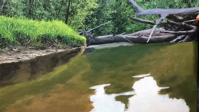 Лесной пейзаж с водой смотреть онлайн