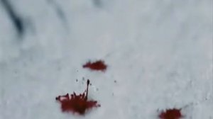 гр Сплин Волк