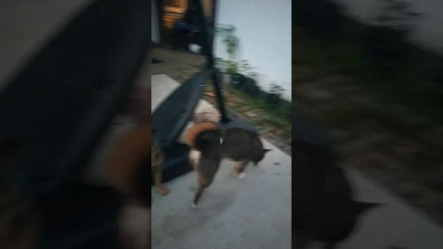 What I'm Grateful For - Chilling Vibes смотреть онлайн