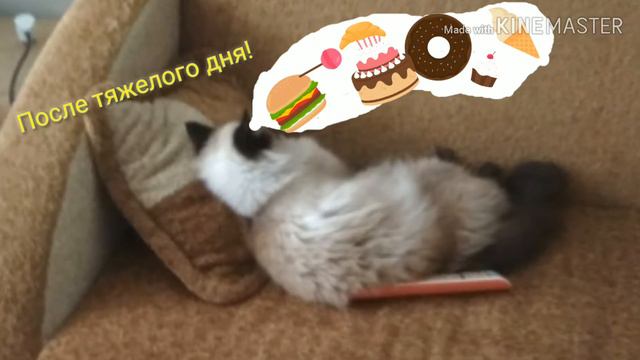 После тяжёлого дня.