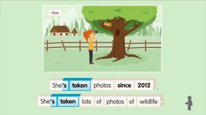 Academy Stars 6. Unit 1. in the wild. Present perfect and past simple