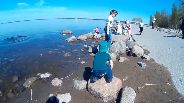 Cестрорецк 13.05.2018 смотреть онлайн