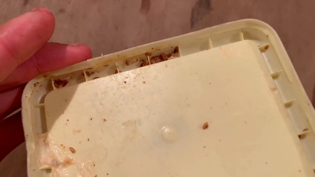 КОЗЫРНАЯ ДОБЫЧА / STAS ASKET