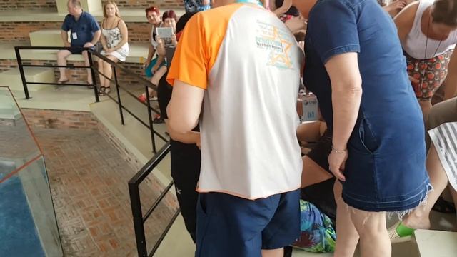 Шоу со змеями Нячанг Вьетнам смотреть онлайн