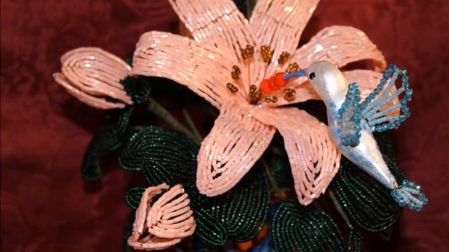 Фото-обзор Колибри смотреть онлайн