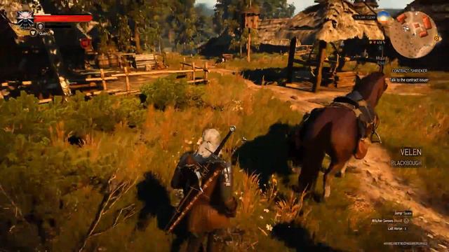 The Baron's true face? | Ep 27 | The Witcher 3: Wild Hunt [BLIND] | Let’s Play смотреть онлайн