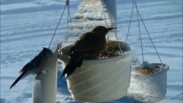 2012. Karacsony Pachelbel Canon