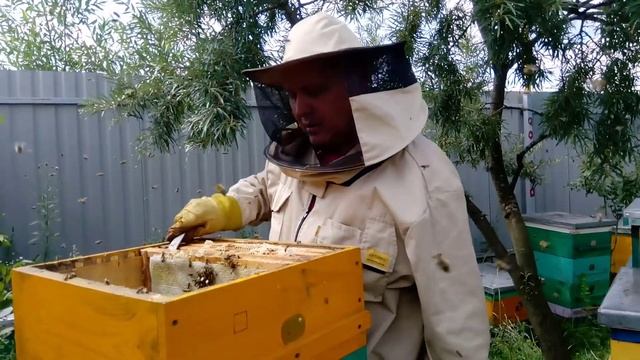 Мед высокого качества, зрелость меда,отбираем только зрелый мед. смотреть онлайн