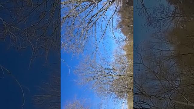 вертолет крупным планом. вертолёт летит почти над землёй смотреть онлайн