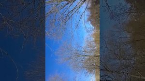 вертолет крупным планом. вертолёт летит почти над землёй