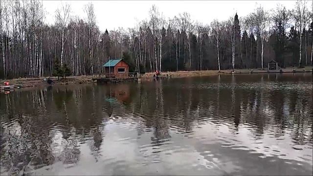 Форель - паста и резина. Сиг - пучок мотыля. Клёвое место. смотреть онлайн