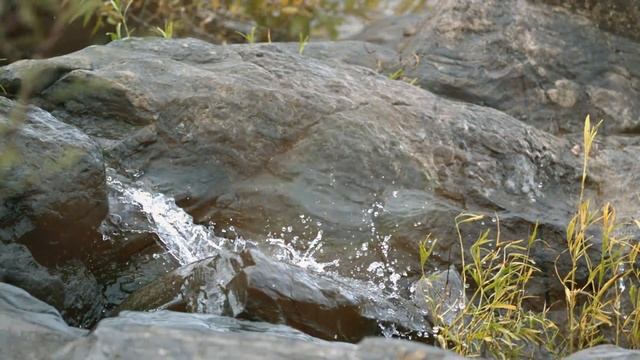 Relaxing Piano Music: Sleep Music, Meditation Music, Study Music