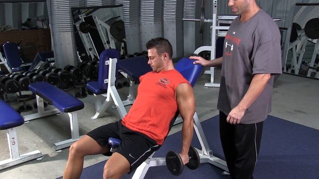 Incline DB Hammer Curl смотреть онлайн