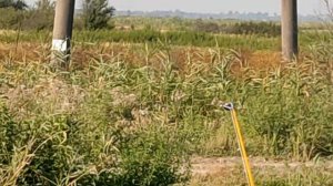 рыбалка Адыгея август каналы