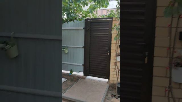 Подготовка газонного ограждения . смотреть онлайн