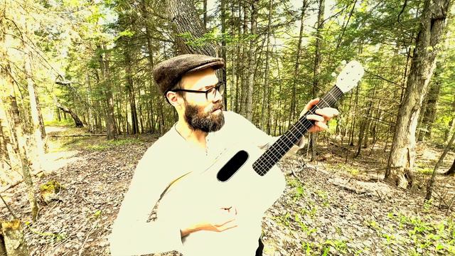 Guitar with built in effects? Take it forest bathing! смотреть онлайн