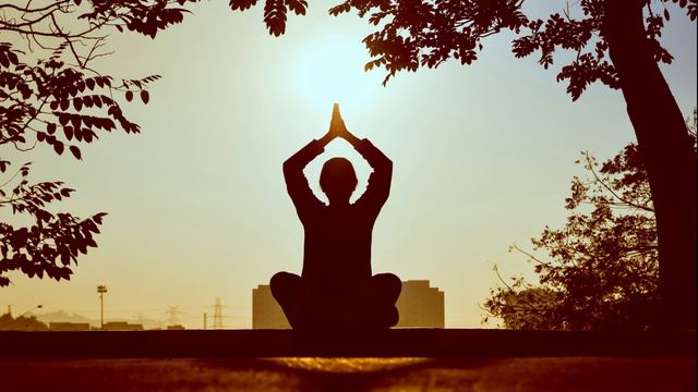 MEDITATION - ZEN MUSIC🎵 (meditation music/Zen kind) de JoeVR [No Copyright Music] смотреть онлайн