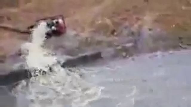 Мотопомпа Robin Subaru смотреть онлайн