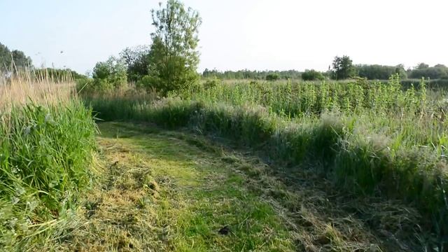 Testing the video function of the Nikon D5200. смотреть онлайн
