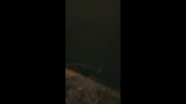 Премьера...Легендарное видео . Легендарный человек. Что будет дальше ?Что же он будет делать смотреть онлайн