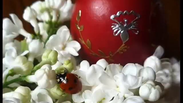 Со Светлым праздником Пасхи!!!!! смотреть онлайн