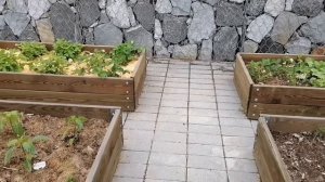 ВЫСОКИЕ ГРЯДКИ СВОИМИ РУКАМИ | ИДЕАЛЬНЫЙ ОГОРОД БЕЗ СОРНЯКОВ