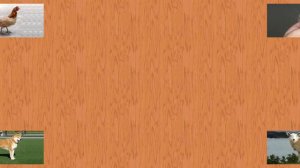 Карточки Домана Часть 1 Домашние животные!