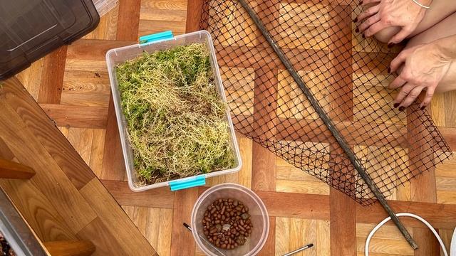 Состав грунта для разных растений смотреть онлайн