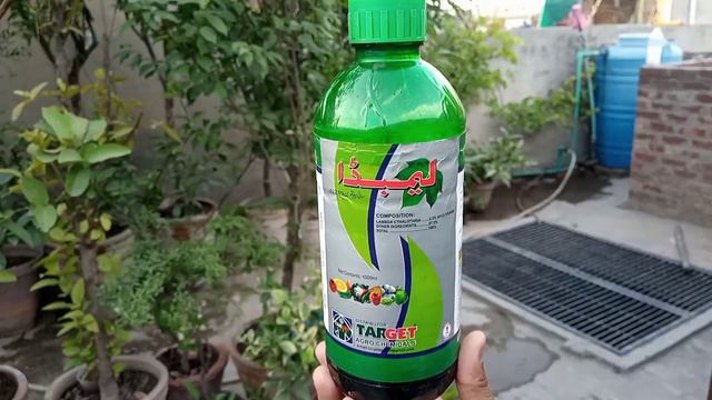 Spray For All Plant Diseases | پودوں کی تمام بیماریوں کے لیے سپرے کریں۔ смотреть онлайн