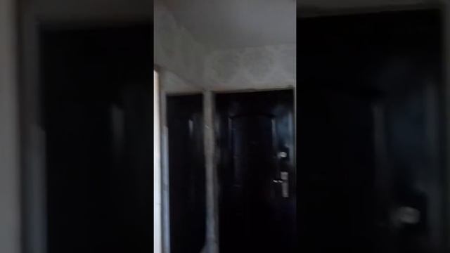 Ремонт 1 комнатной квартиры г Тосно смотреть онлайн