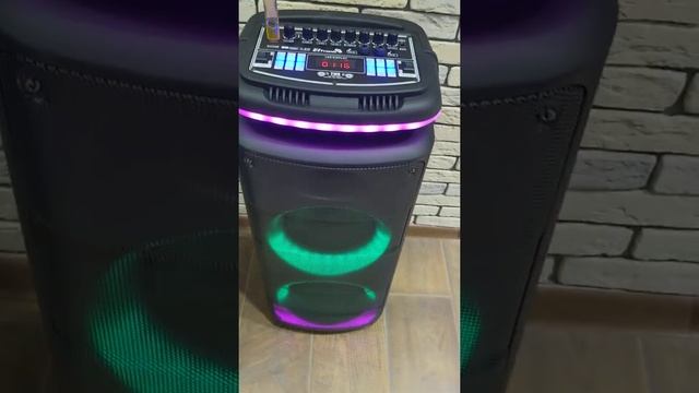 Портативная колонка ELTRONIC 20-29 смотреть онлайн