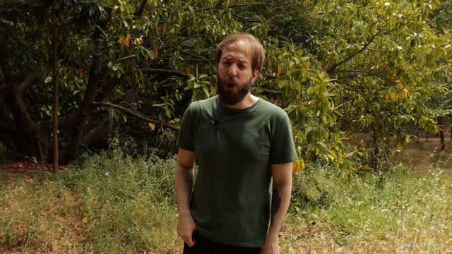 The Importance of Unverified Personal Gnosis смотреть онлайн