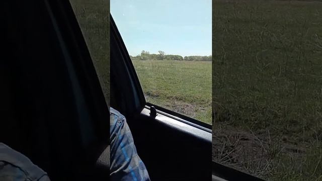 №1Игорь Дыбунов учит Владимира Пащенко как тронуться с места на машине 15. 05. 2021 смотреть онлайн