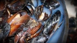 Как чистить мидии