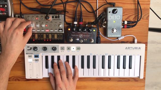 Volca Bass Ambient w/ Looper (TC Electronic Ditto) смотреть онлайн