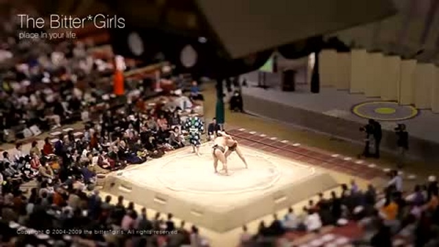 Combat de Sumo en Tilt-Shift смотреть онлайн