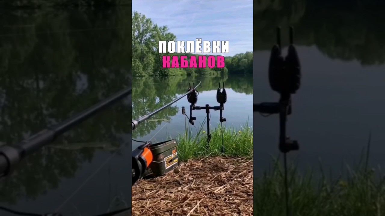 Паровозы крупных карпов. Карпфишинг смотреть онлайн