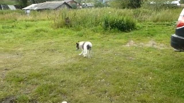 Навес для вагончика#Навес#деревня