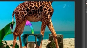 Правильная реклама конфет Скитлз с жирафом