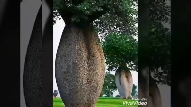 Как прекрасна наша Планета! смотреть онлайн