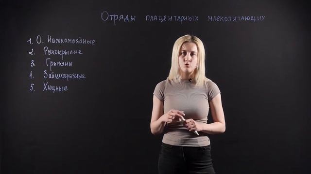 Биология 7 класс: Отряды плацентарных млекопитающих смотреть онлайн