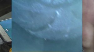 Делаем управляемый эндоскоп из USB камеры за 600р