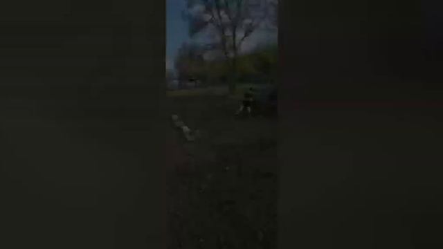 Посев газона.
