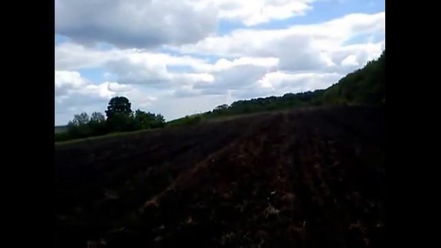 Бахча - АРБУЗ НА ЦЕЛИНЕ! Эксперимент 2015 года, ч1. смотреть онлайн