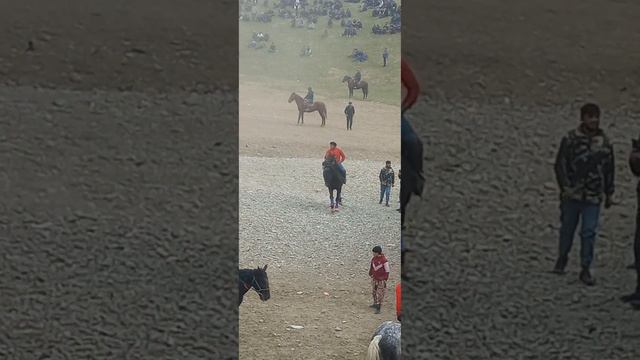 бузкаши қд нов бегимқул бо аспи вулкан қд 05 03 23🐎🇹🇯🇺🇿🇰🇬🇰🇿👍 смотреть онлайн