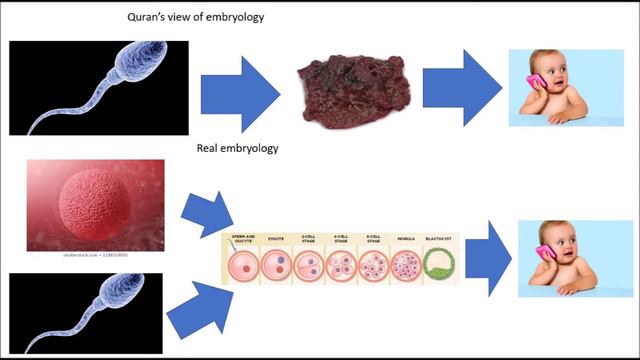 The quran gets embryology completely wrong смотреть онлайн